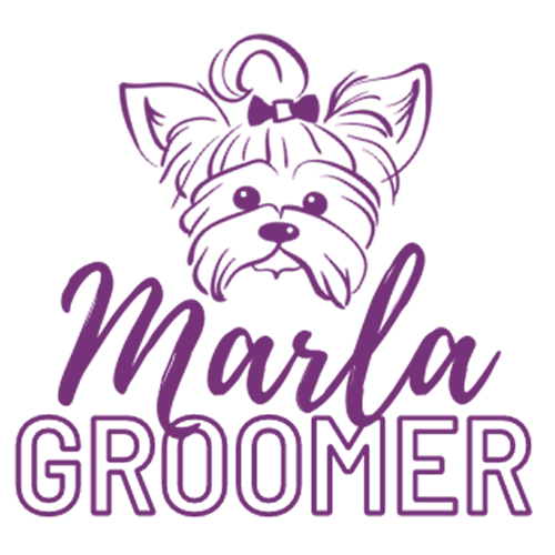 Marlena biernacka marlagroomer dąbrowa górnicza ul. sadowa 44 salon pielegnacji fryzjer dla psa i kota