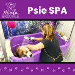 Marlena biernacka marlagroomer dąbrowa górnicza ul. sadowa 44 salon pielegnacji fryzjer dla psa i kota