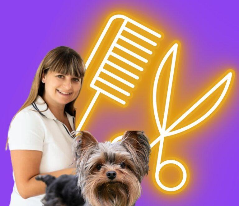 Marlena biernacka marlagroomer dąbrowa górnicza ul. sadowa 44 salon pielegnacji fryzjer dla psa i kota